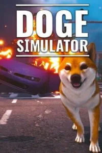 Doge Simulator